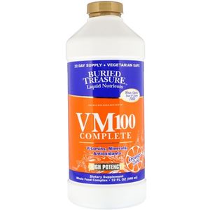VM 100 컴플리트