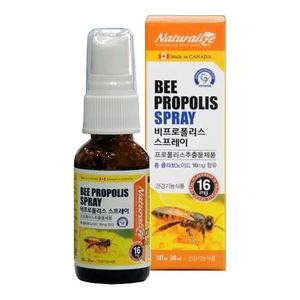 비 프로폴리스 스프레이 30ml