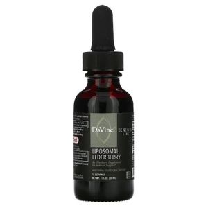 리포소멀 엘더베리