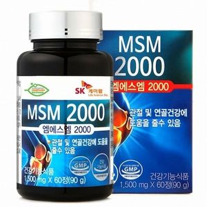 MSM 2000
