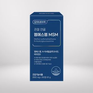 관절 연골 엠에스엠 MSM