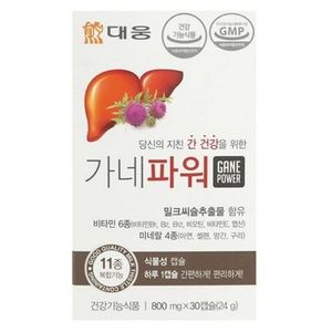 가네파워