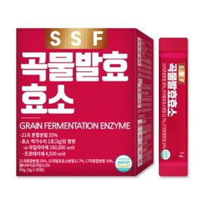 곡물발효효소