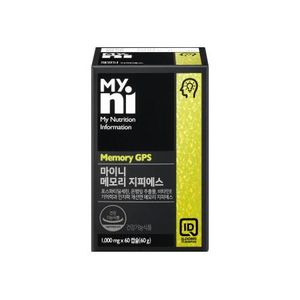 마이니 메모리 지피에스 제품 이미지