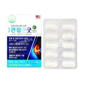 관절앤굿 포르테