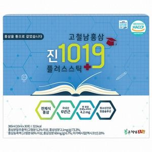 진1019 플러스스틱