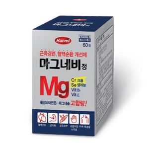 마그네비