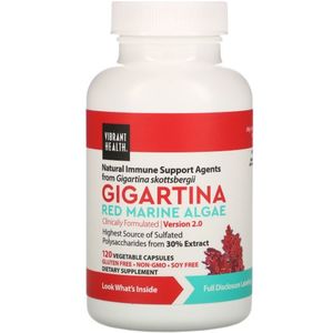 Gigartina 레드 마린 알개