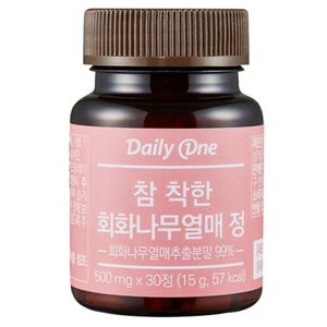 참 착한 회화나무열매 정