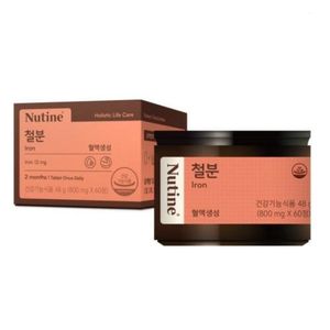 뉴틴 철분
