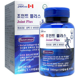 조인트 플러스