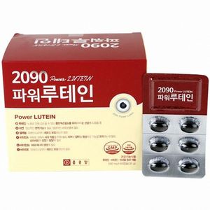 2090 파워루테인