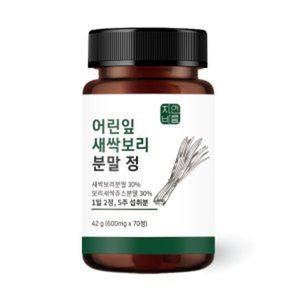 어린잎 새싹보리 분말 정