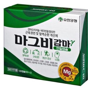 마그비감마