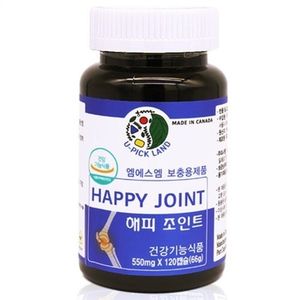 해피 조인트