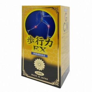 보행력 EX