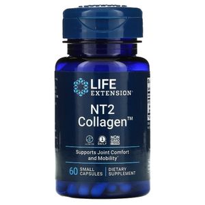 NT2 콜라겐