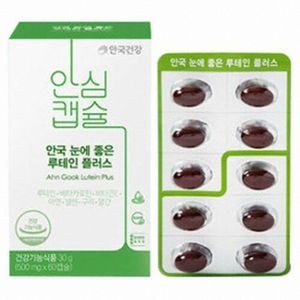 안국 눈에 좋은 루테인 플러스