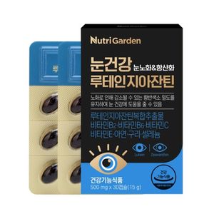 눈건강 루테인지아잔틴