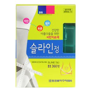 슬라인정