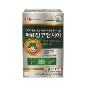징코앤시아
