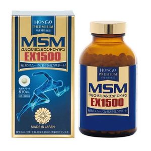 MSM EX1500