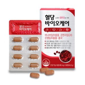 혈당 바이오케어