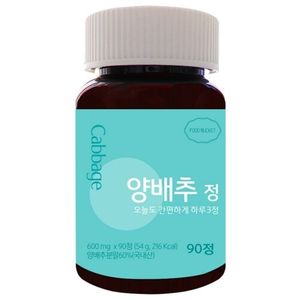 푸드버킷 양배추정