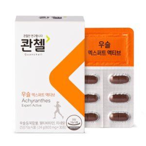 우슬 엑스퍼트