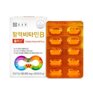 활력비타민B 플러스