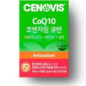 사용자 첨부 사진