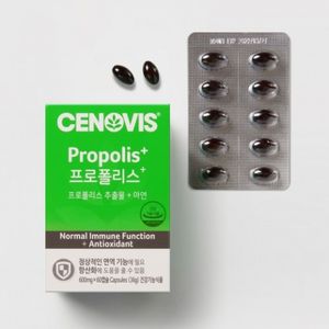 프로폴리스+