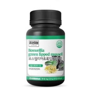 보스웰리아 초록입홍합 정