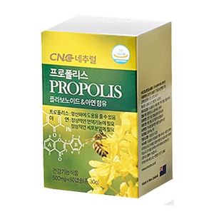 프로폴리스
