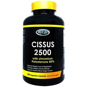 시서스 2500