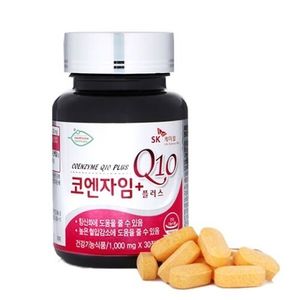 코엔자임 Q10 플러스