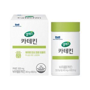 카테킨