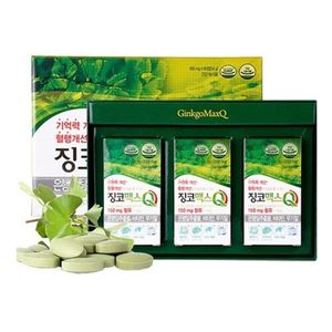 징코맥스Q 600mg