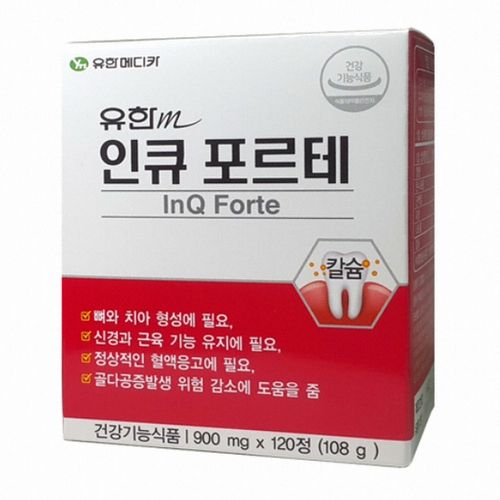 인큐 포르테