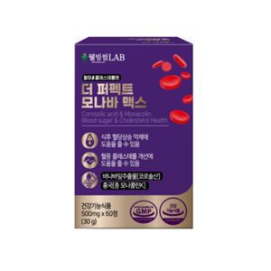 더 퍼펙트 모나바 맥스