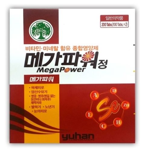 메가파워정