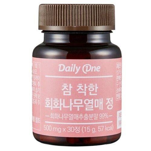 참 착한 회화나무열매 정