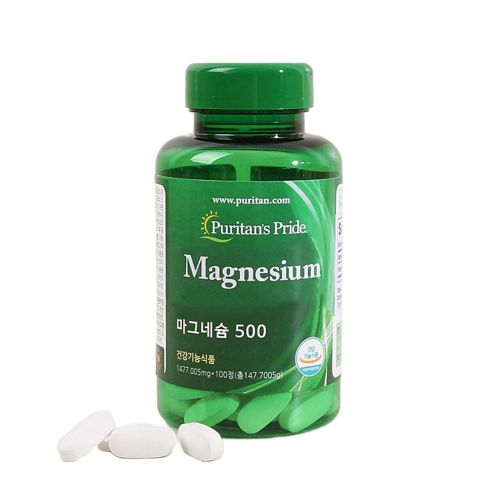 마그네슘 500