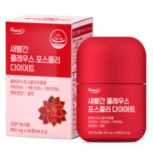 새빨간 콜레우스 포스콜리 다이어트