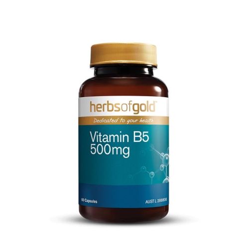 비타민 B5 500mg
