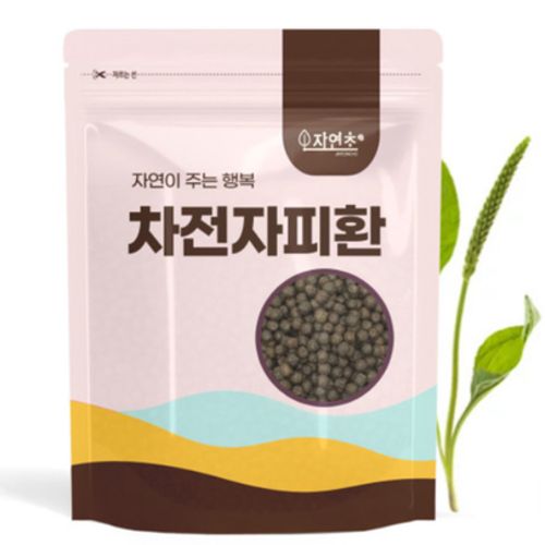 차전자피환