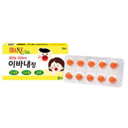 이바내정