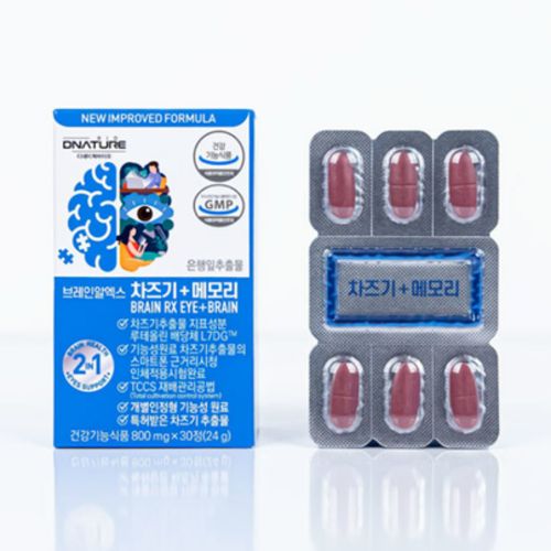 브레인알엑스 차즈기+메모리