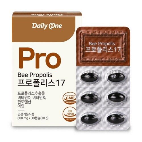 프로폴리스 17