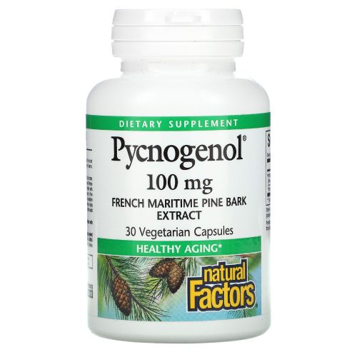 피크노제놀 100mg